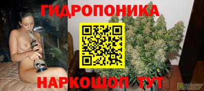 молекула духа Краснодар