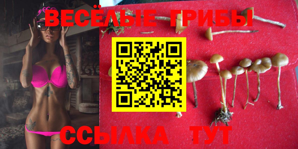 Кировск  Псилоцибиновые грибы Magic Shrooms  Вход с VPN  Галлюциногенные грибы прущие грибы 